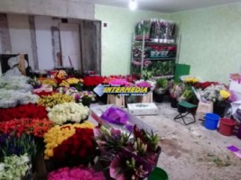 spatiu-comercial-de-vanzare-in-alba-cetate